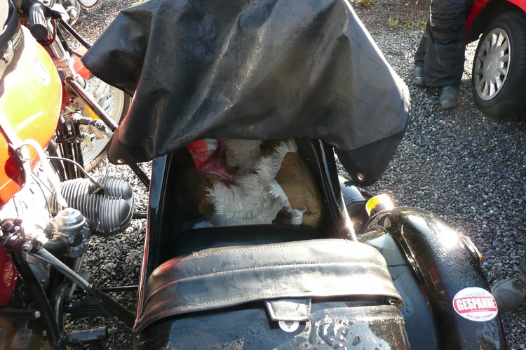 2008_ris_biketour_236.jpg
