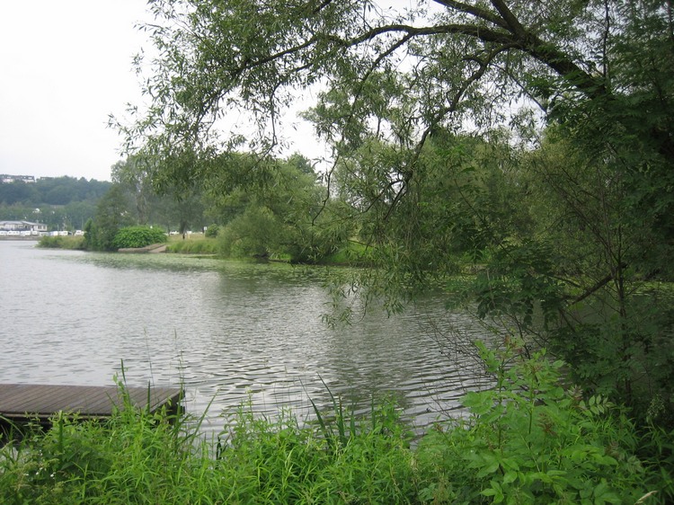 2008_ris_kanutour_160.jpg