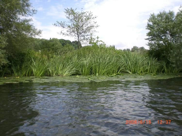 2008_ris_kanutour_412.JPG