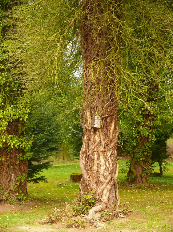 2009_gailscherpark_058.jpg