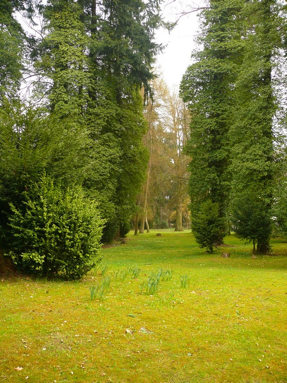 2009_gailscherpark_062.jpg