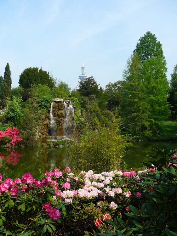 2009-05_palmengarten_034.jpg