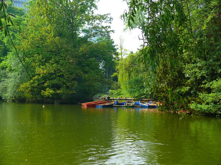 2009-05_palmengarten_040.jpg