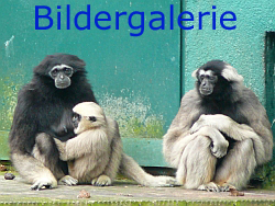 Bildergalerie