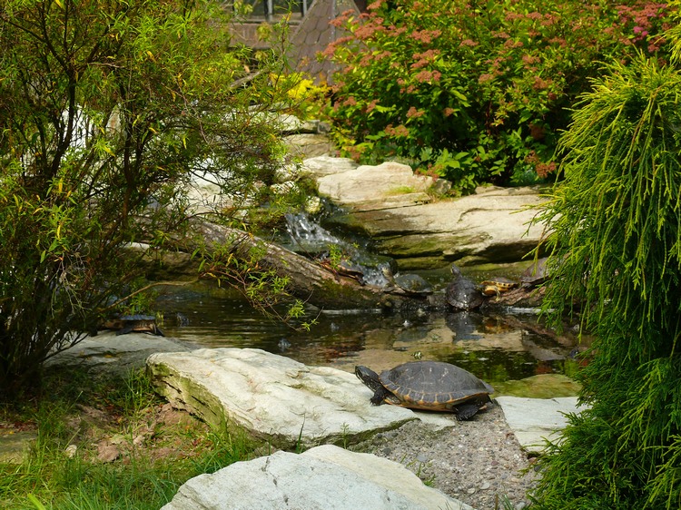 2009-06_opelzoo_016.JPG