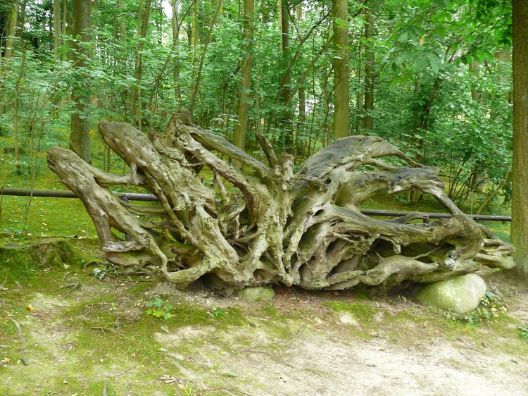 2009-06_opelzoo_031.JPG