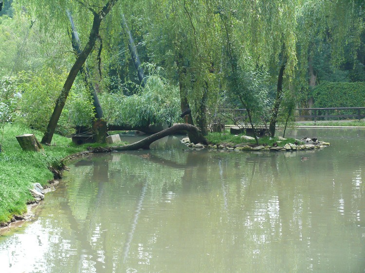 2009-06_opelzoo_049.JPG