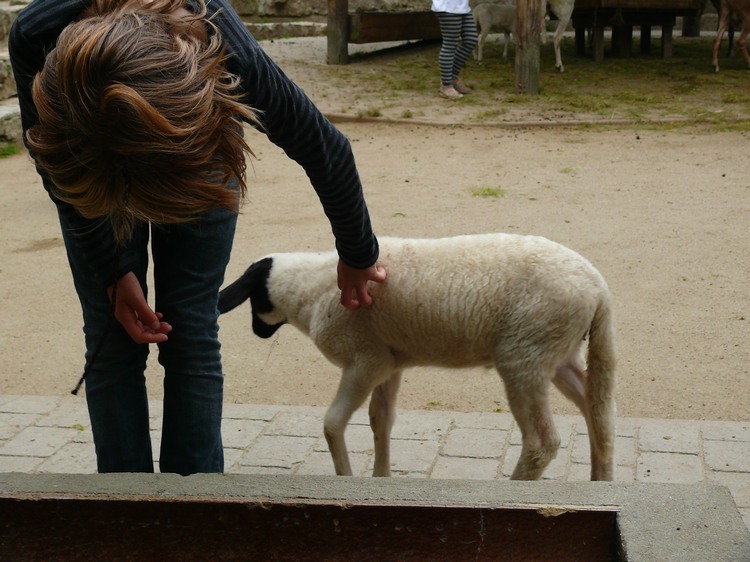 2009-06_opelzoo_097.JPG