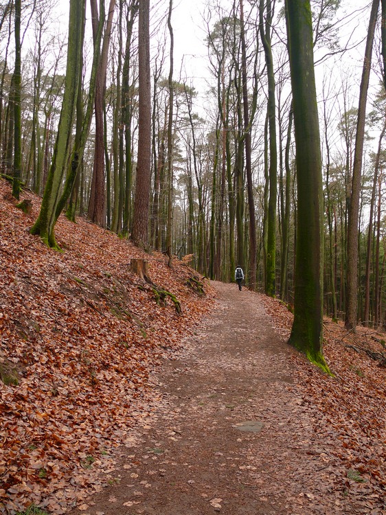 2009_erfweiler_053.jpg