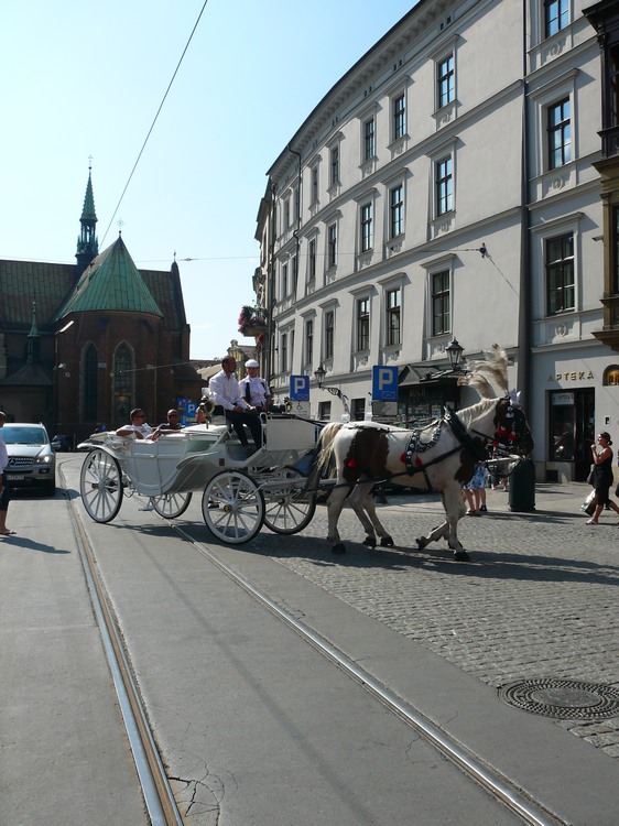 2009_krakau_006.jpg