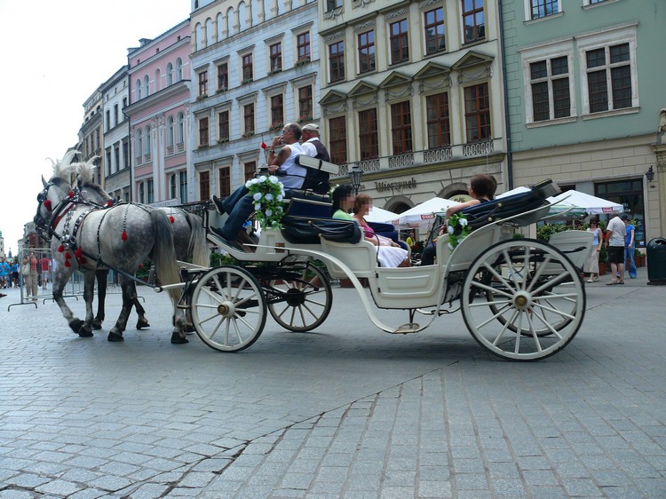 2009_krakau_110.jpg