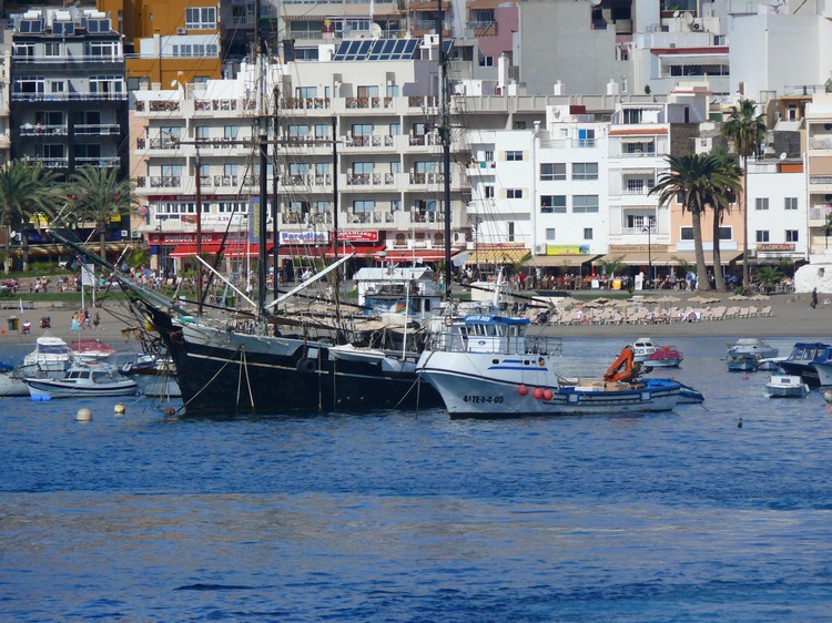 2009-01_lagomera-001.JPG