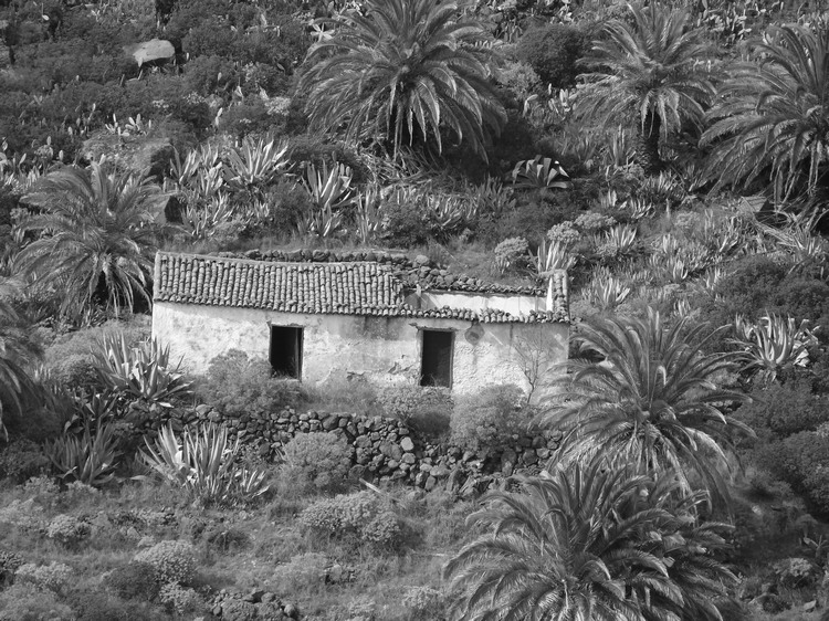 2009-01_lagomera-011.JPG