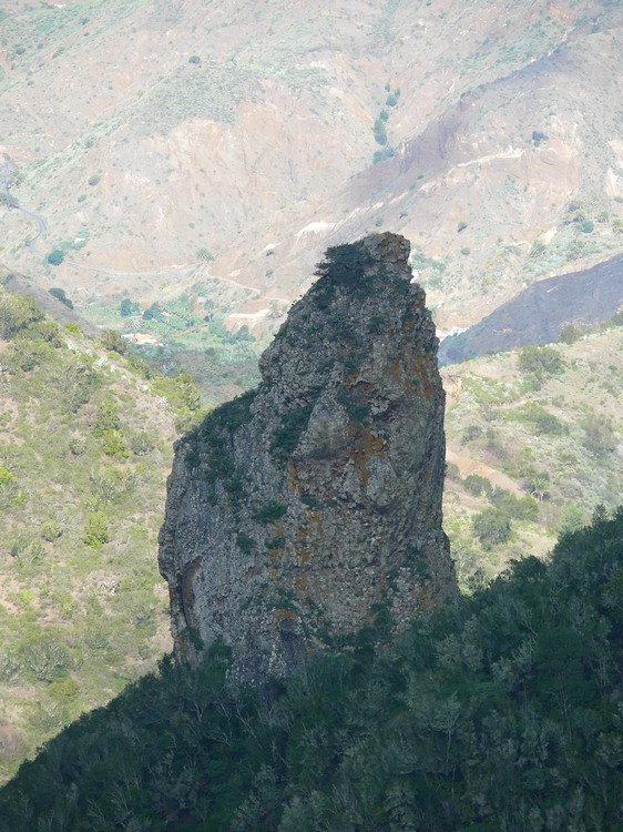 2009-01_lagomera-031.JPG