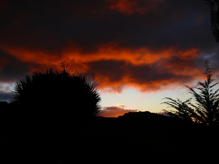 2009-01_lagomera-034.JPG