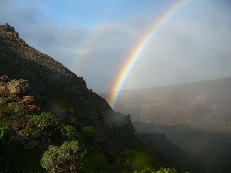 2009-01_lagomera-036.JPG