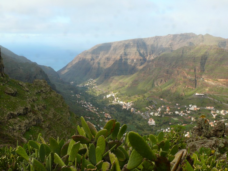 2009-01_lagomera-081.JPG