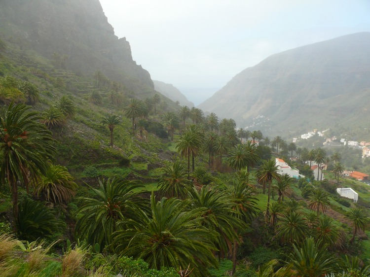 2009-01_lagomera-085.JPG