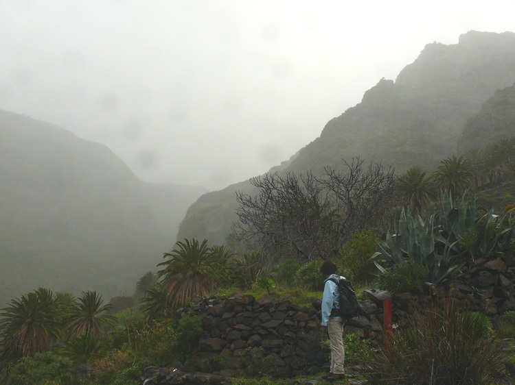 2009-01_lagomera-086.JPG