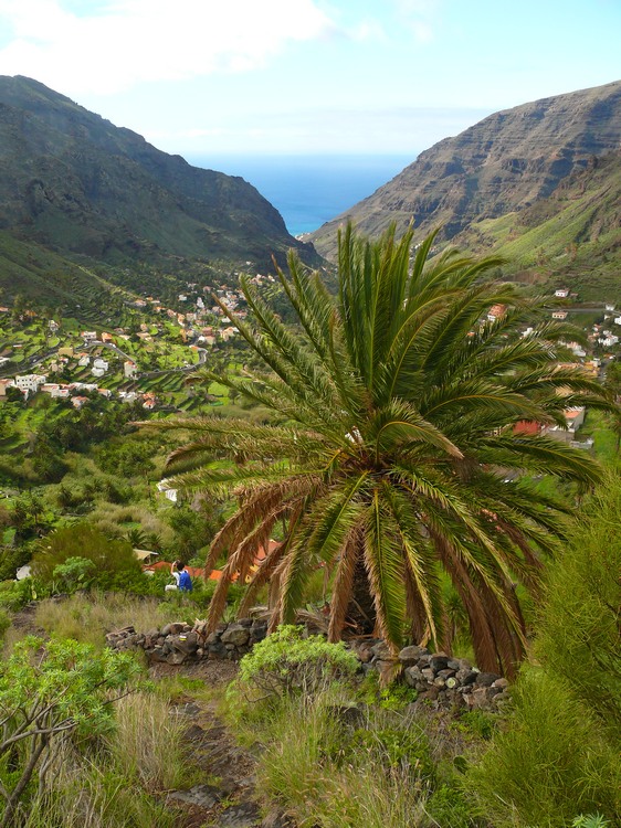 2009-01_lagomera-087.JPG