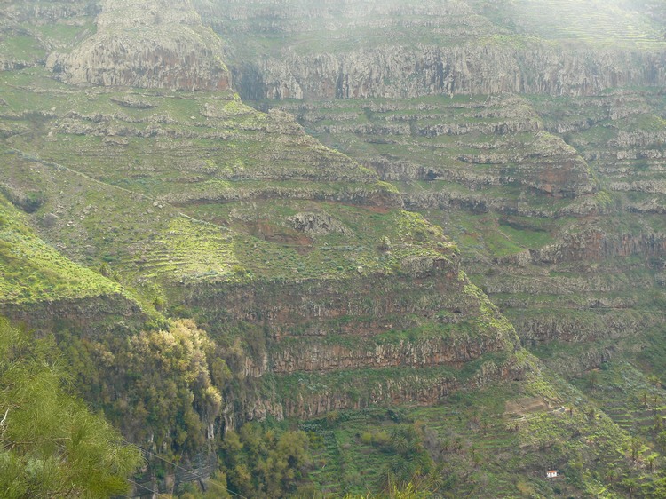 2009-01_lagomera-090.JPG