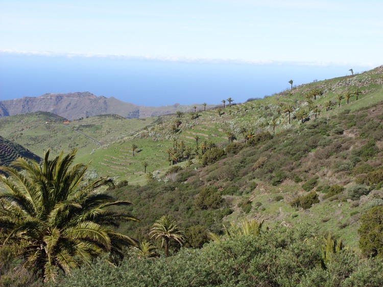 2009-01_lagomera-104.JPG