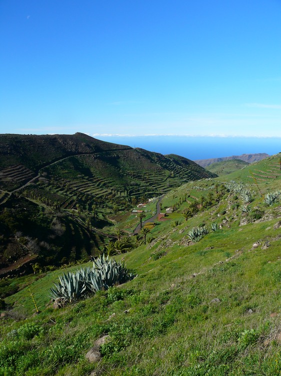 2009-01_lagomera-106.JPG