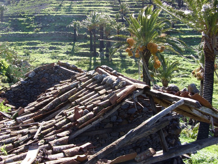 2009-01_lagomera-109.JPG