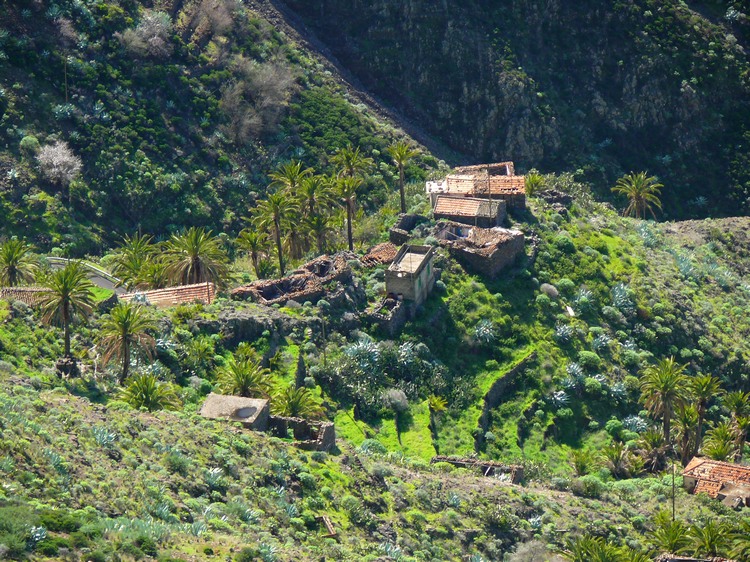 2009-01_lagomera-114.JPG