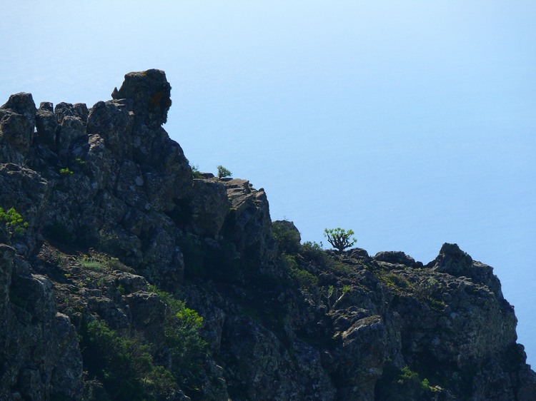 2009-01_lagomera-115.JPG