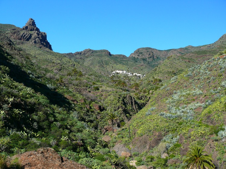 2009-01_lagomera-129.JPG