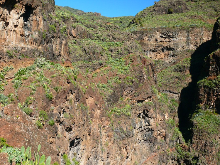 2009-01_lagomera-132.JPG