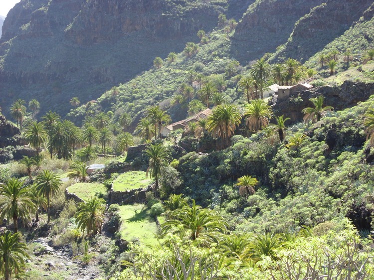 2009-01_lagomera-134.JPG