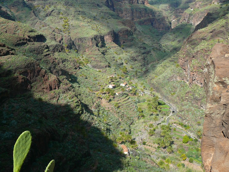 2009-01_lagomera-135.JPG