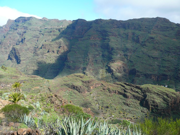 2009-01_lagomera-136.JPG