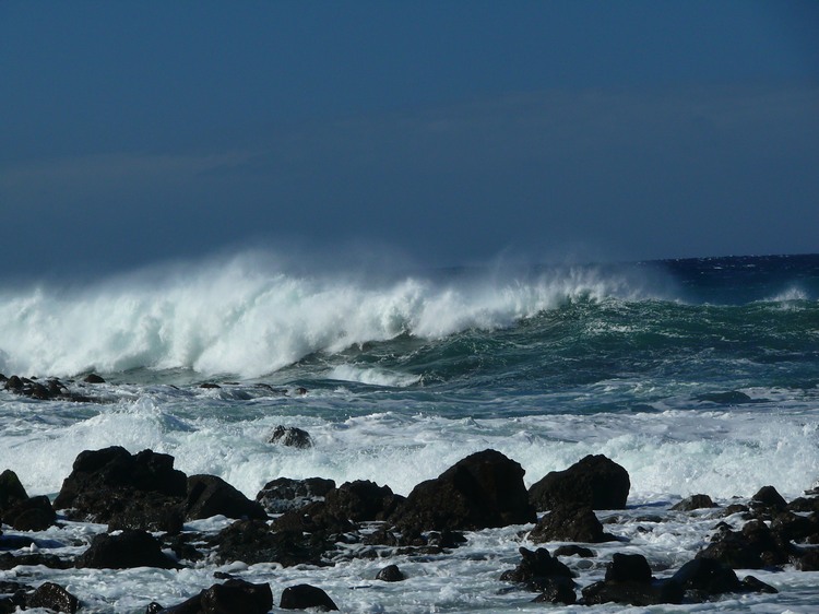 2009-01_lagomera-144.JPG