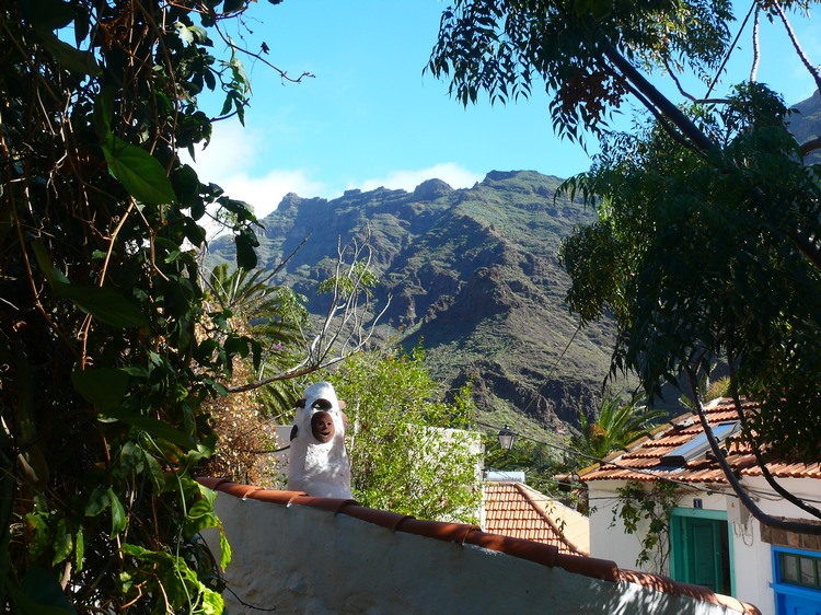 2009-01_lagomera-156.JPG