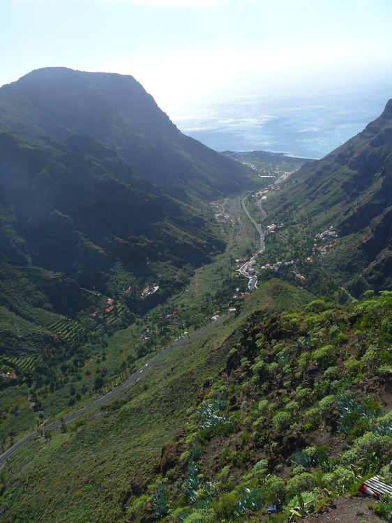 2009-01_lagomera-161.JPG