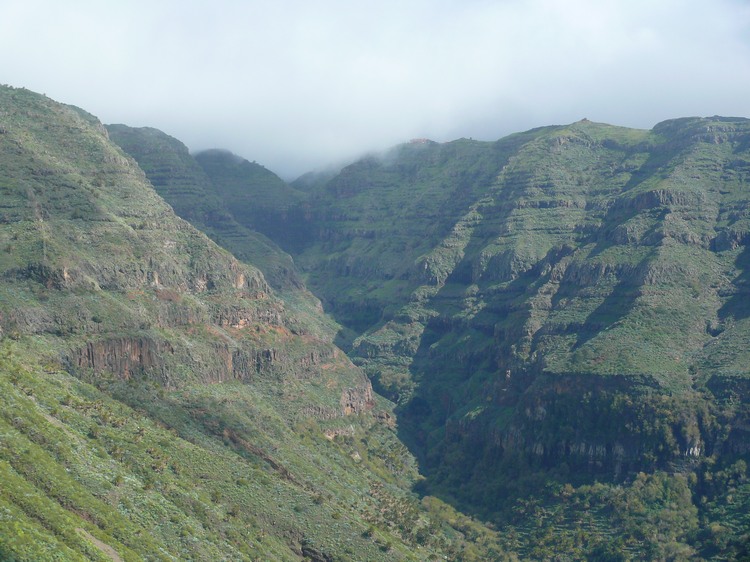 2009-01_lagomera-163.JPG