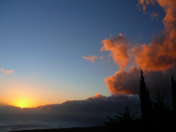 2009-01_lagomera-167.JPG