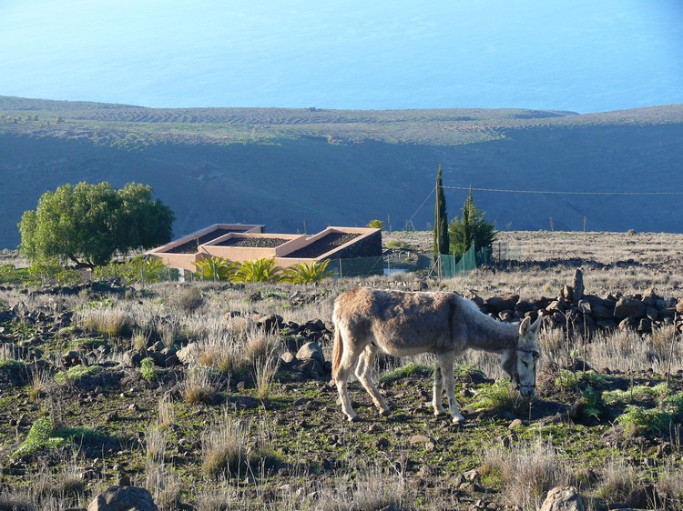 2009-01_lagomera-169.JPG