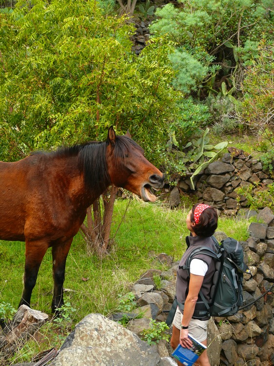 2009-01_lagomera-176.JPG