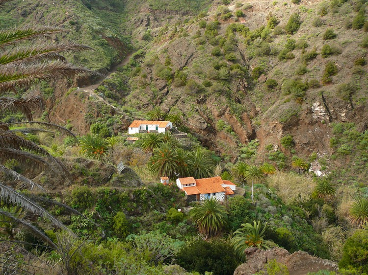 2009-01_lagomera-177.JPG