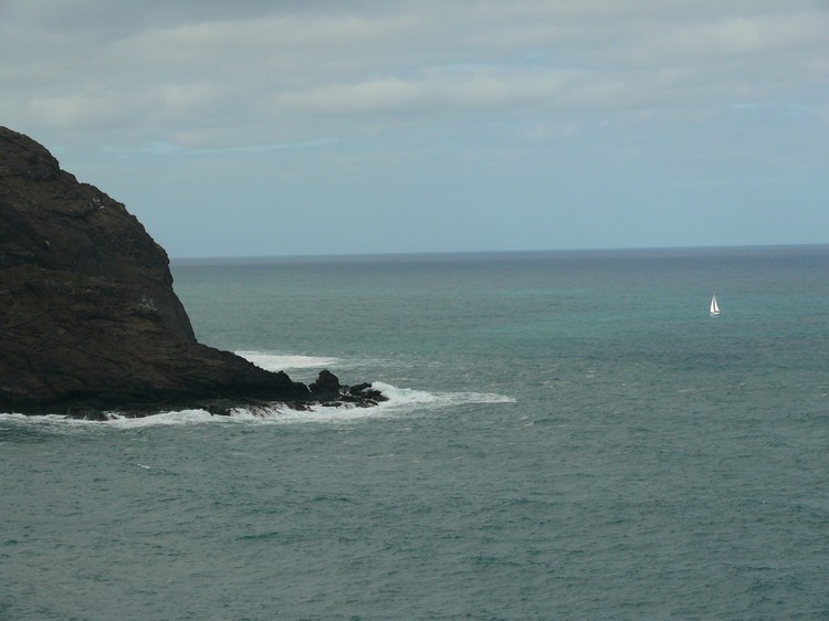 2009-01_lagomera-184.JPG