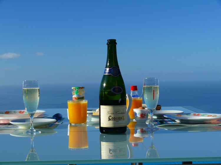 2009-01_lagomera-195.JPG