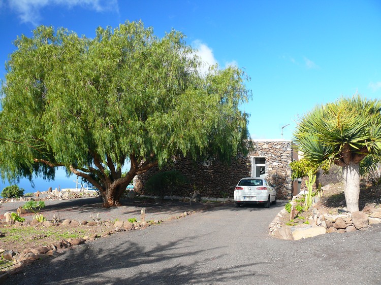 2009-01_lagomera-201.JPG