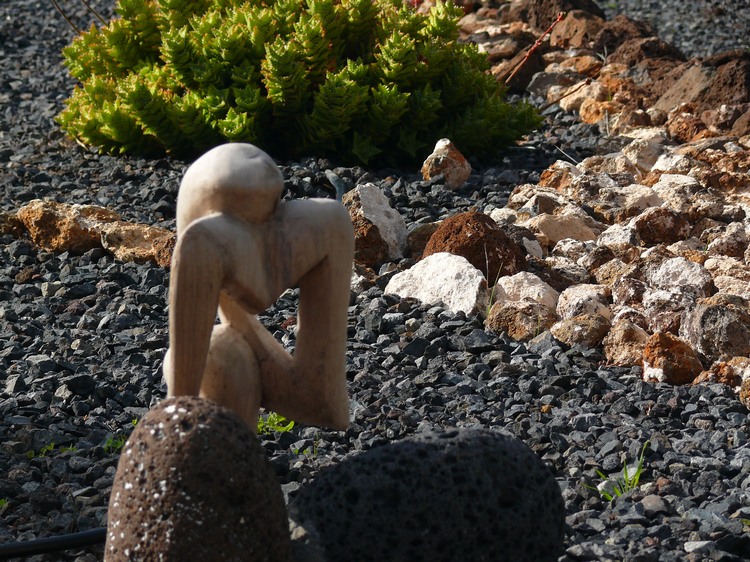 2009-01_lagomera-204.JPG