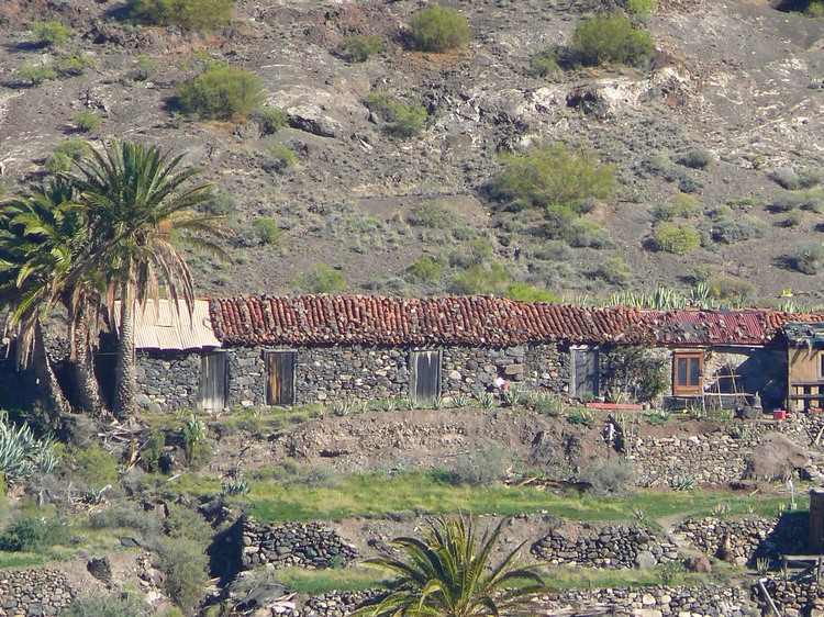 2009-01_lagomera-217.JPG