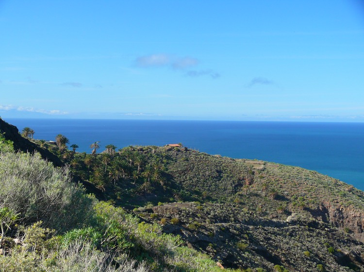 2009-01_lagomera-218.JPG