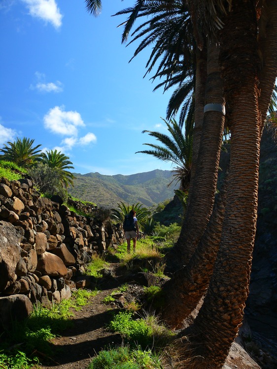 2009-01_lagomera-221.JPG